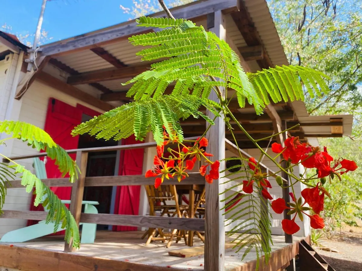 Bungalow De Charme , A Proximite De La Plage Apartment Cadet